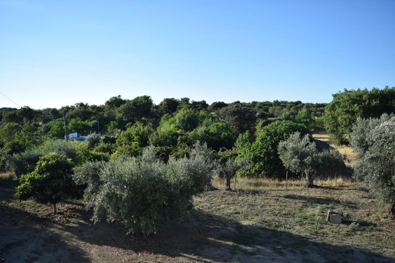 Memsoares Country House Castelo de Vide Exterior photo
